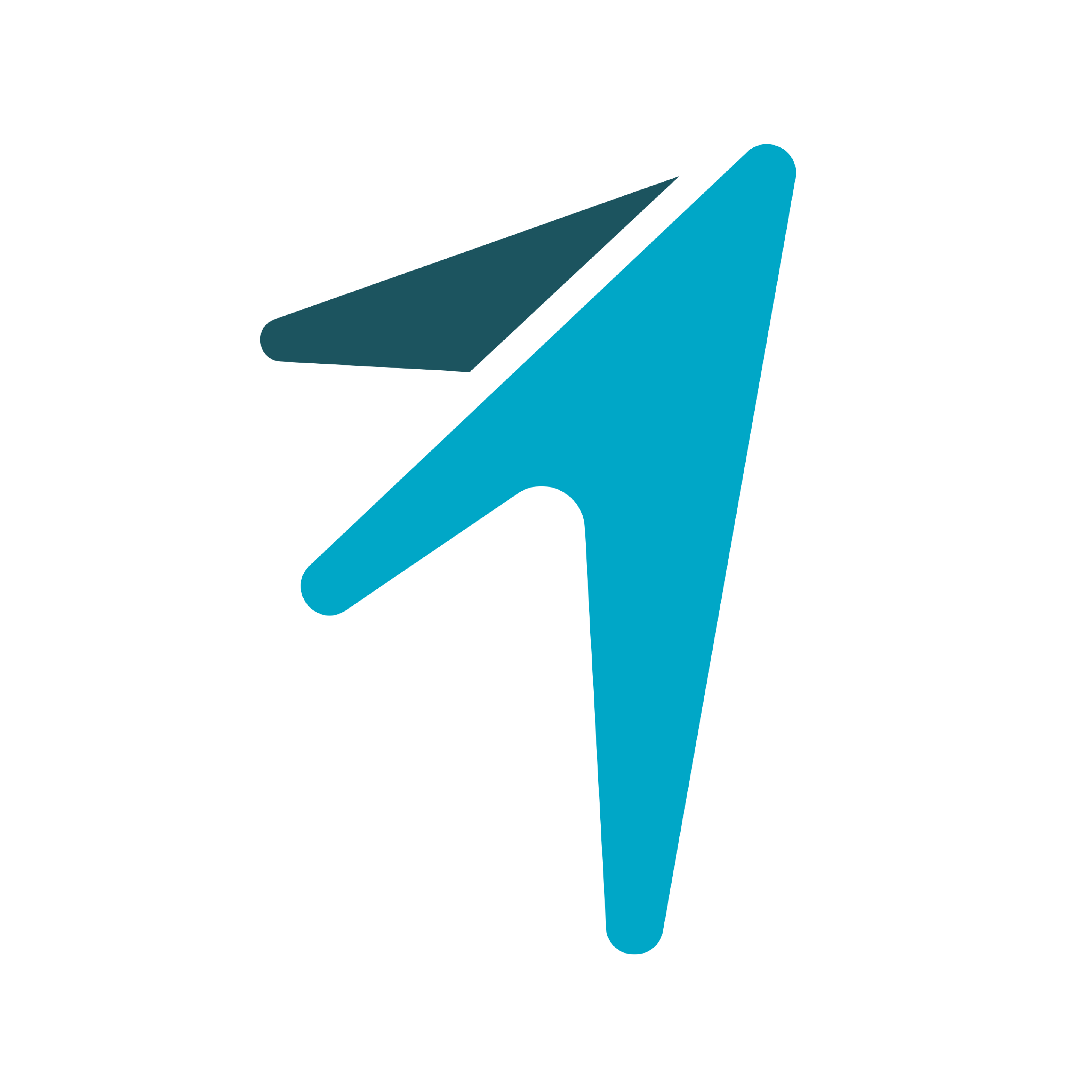 EcFlight LLC